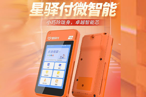 林芝国通微电签POS机